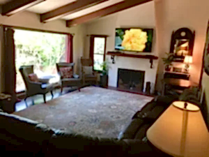 living room with fireplace, television and seating