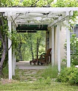 garden view
