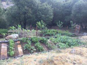 garden beds