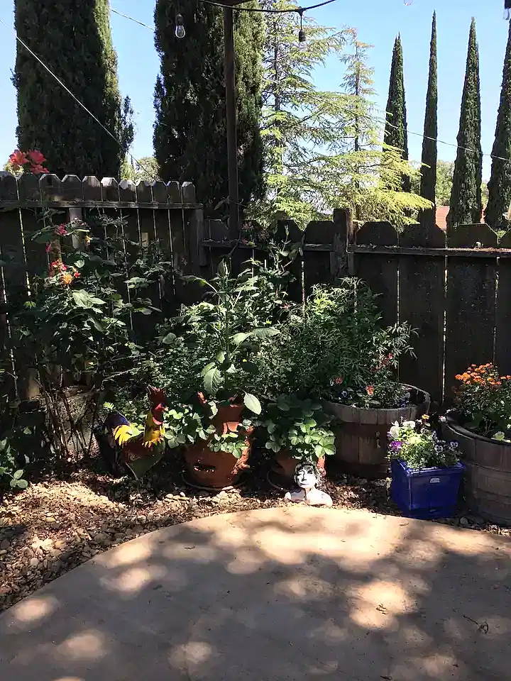backyard garden with patio