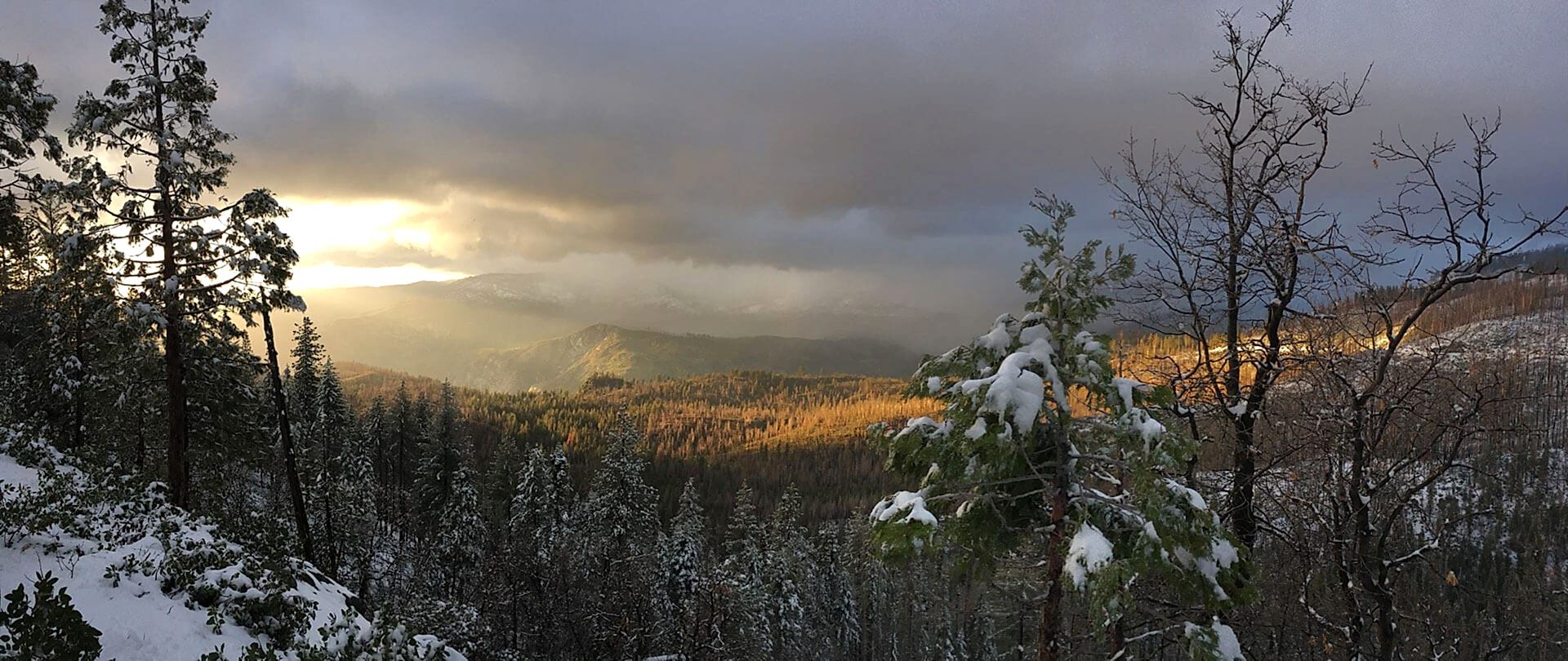 View from Yosemite West