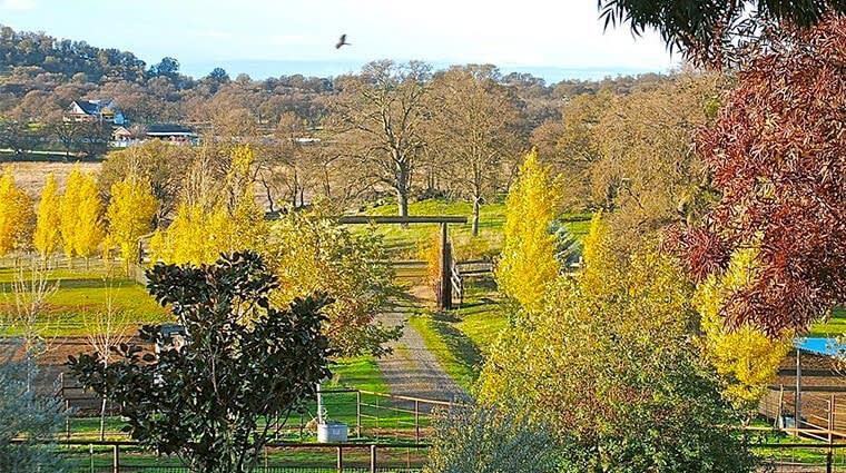 Roundhat Ranch in Catheys Valley