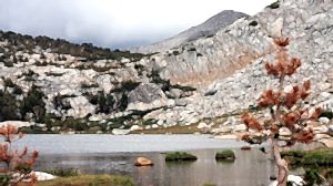 vogelsang high sierra camp