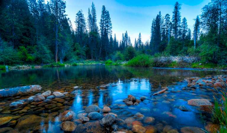 quiet river reflecting the surrounding forest